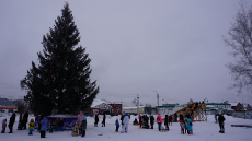dsc03041