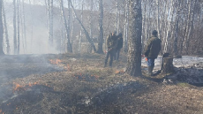 IMG-20220414-WA0017
